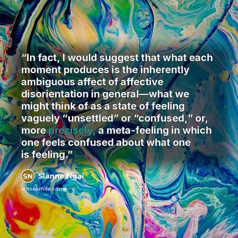 “In fact, I would suggest that what each moment produces is the inherently ambiguous affect of affective disorientation in general—what we might think of as a state of feeling vaguely “unsettled” or “confused,” or, more precisely, a meta-feeling in which one feels confused about what one is feeling.” quote by Sianne Ngai