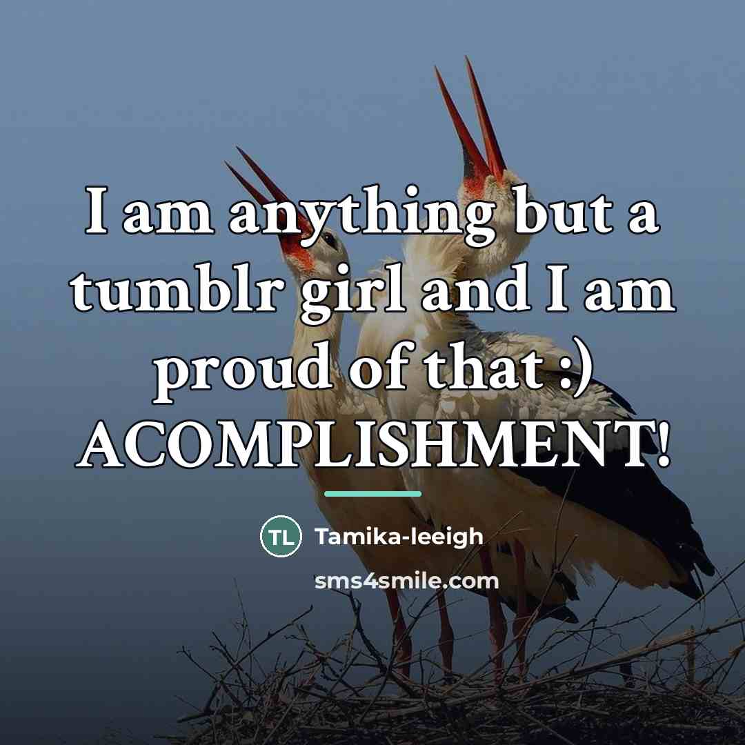 “I am anything but a tumblr girl and I am…” quote by Tamika-leeigh