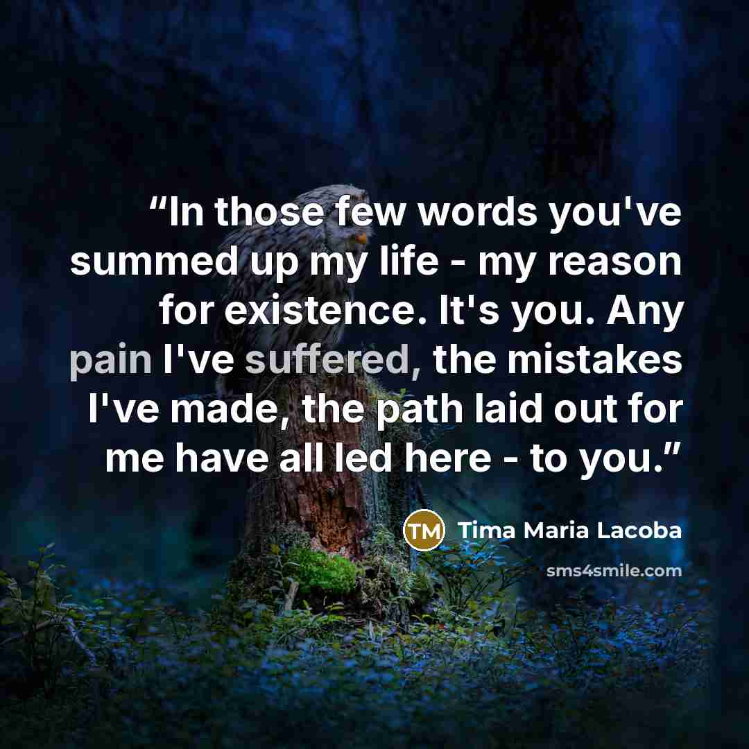 “In those few words you've summed up my life - my reason for existence. It's you. Any pain I've suffered, the mistakes I've made, the path laid out for me have all led here - to you.” quote by Tima Maria Lacoba