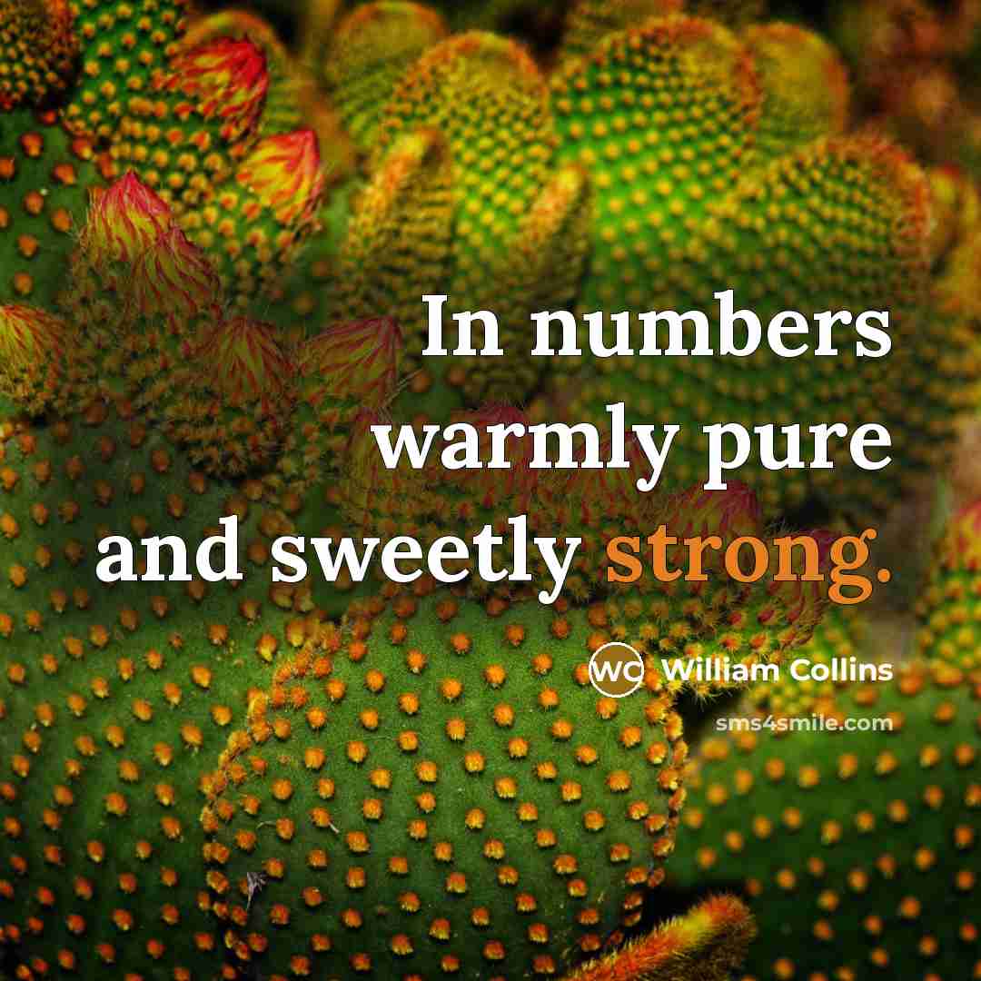 “In numbers warmly pure and sweetly strong.…” quote by William Collins