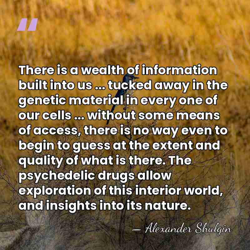 There is a wealth of information built into us ... tucked away&hellip; - Alexander Shulgin