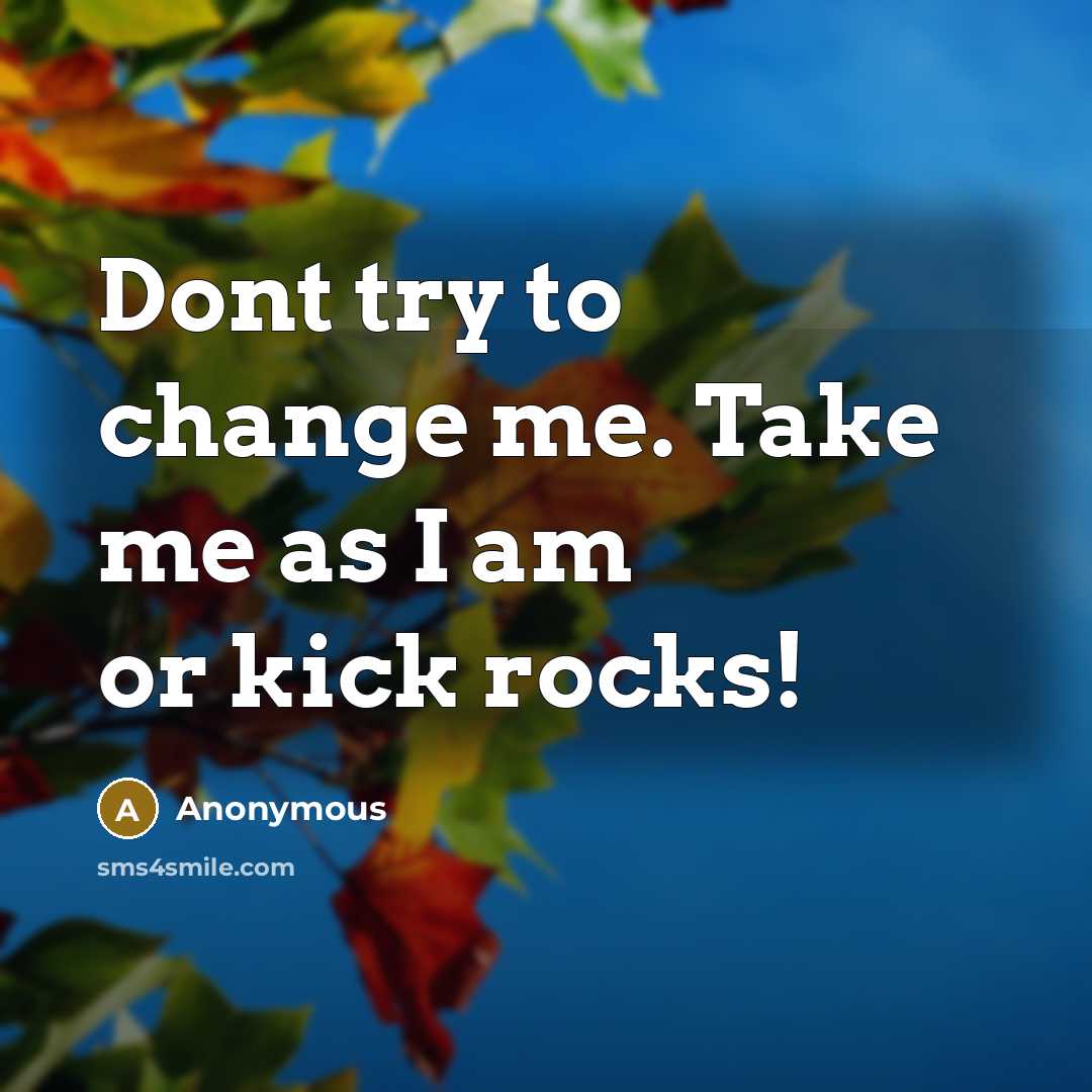 “Dont try to change me. Take me as I am or kick rocks!” quote by Anonymous