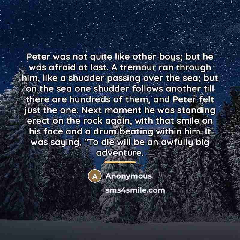 “Peter was not quite like other boys; but he was…” quote by Anonymous