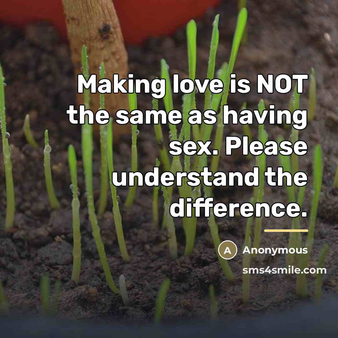 “Making love is NOT the same as having sex. Please…” quote by Anonymous