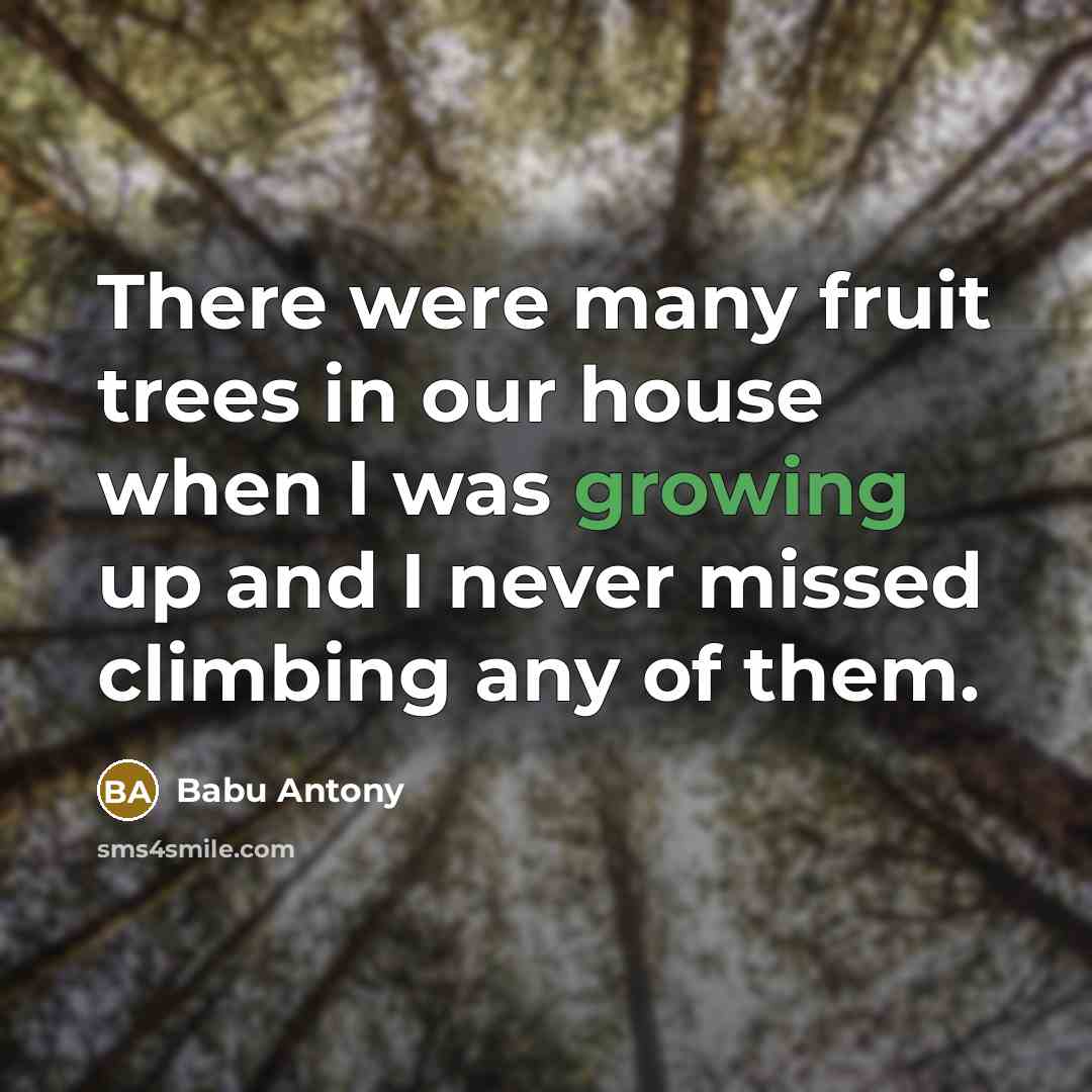 “There were many fruit trees in our house when I…” quote by Babu Antony