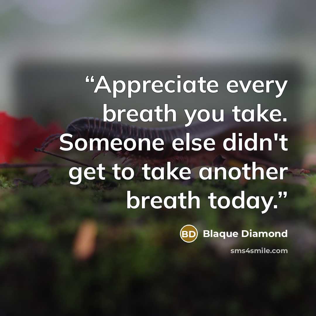 “Appreciate every breath you take. Someone else didn't get to take another breath today.” quote by Blaque Diamond
