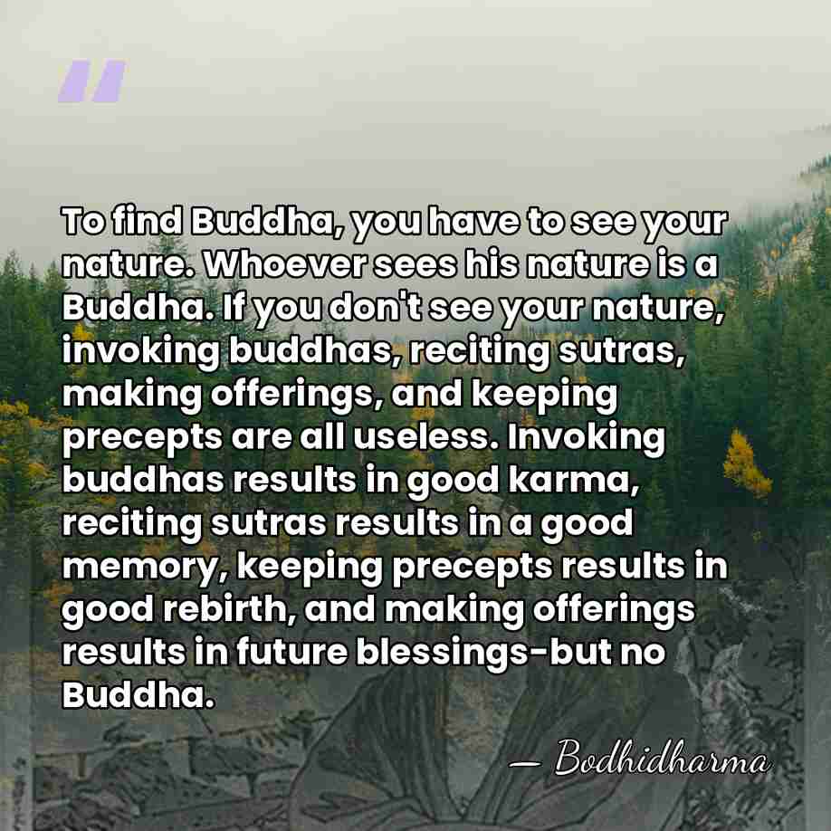 To find Buddha, you have to see your nature. Whoever sees his&hellip; - Bodhidharma