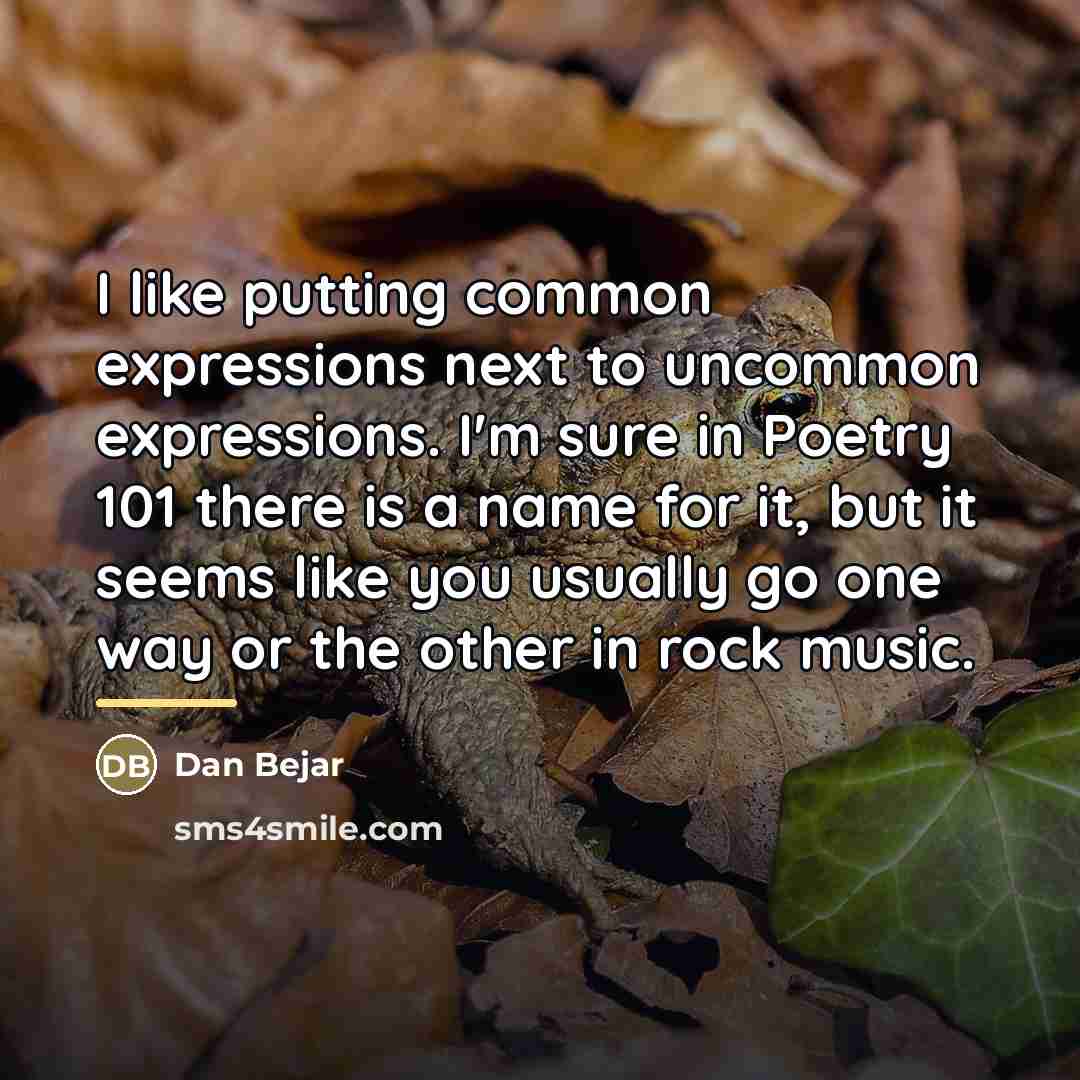 “I like putting common expressions next to uncommon expressions. I'm…” quote by Dan Bejar
