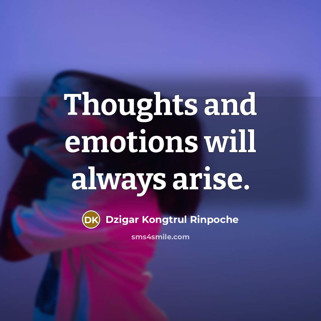 “Thoughts and emotions will always arise.…” quote by Dzigar Kongtrul Rinpoche