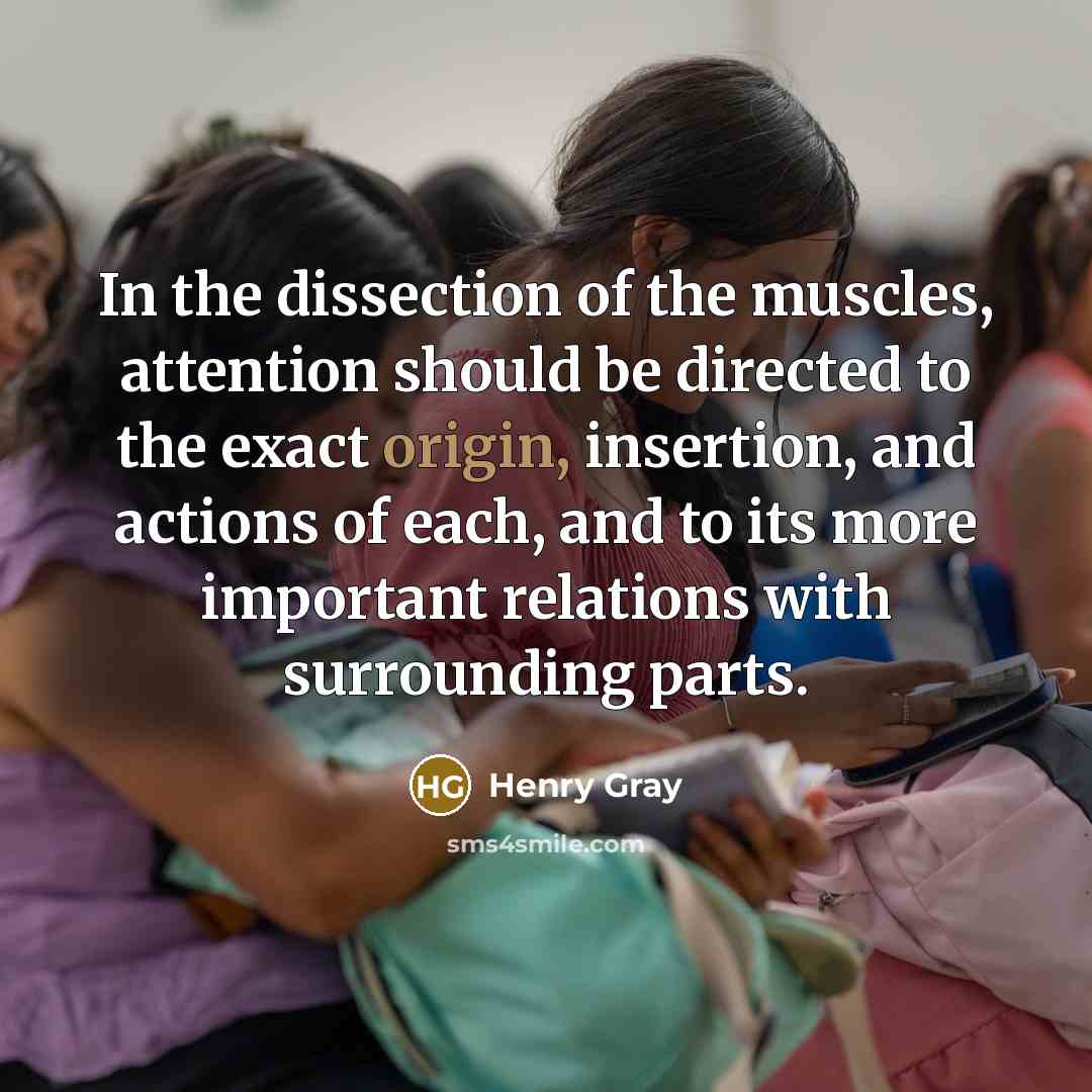 “In the dissection of the muscles, attention should be directed…” quote by Henry Gray