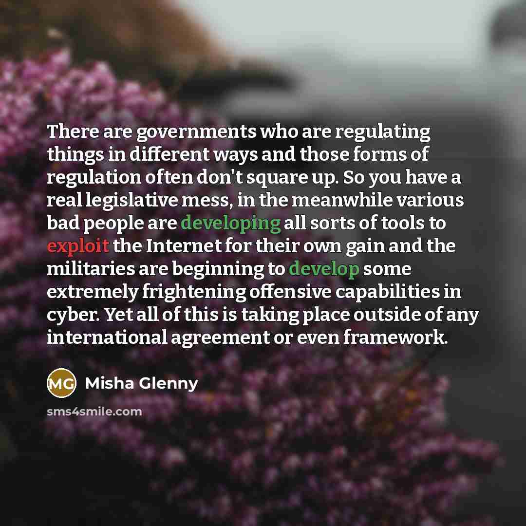 “There are governments who are regulating things in different ways…” quote by Misha Glenny