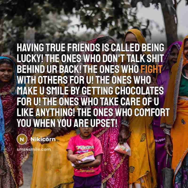 “Having true friends is called being lucky! The ones who…” quote by Nikicorn