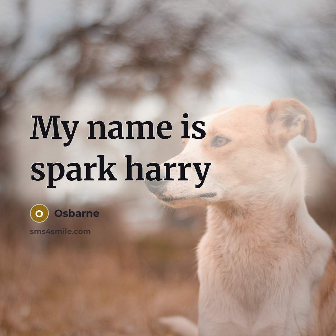 “My name is spark harry” quote by Osbarne