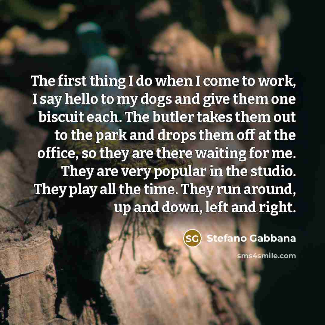 “The first thing I do when I come to work, I say hello to my dogs and give them one biscuit each. The butler takes them out to the park and drops them off at the office, so they are there waiting for me. They are very popular in the studio. They play all the time. They run around, up and down, left…” quote by Stefano Gabbana