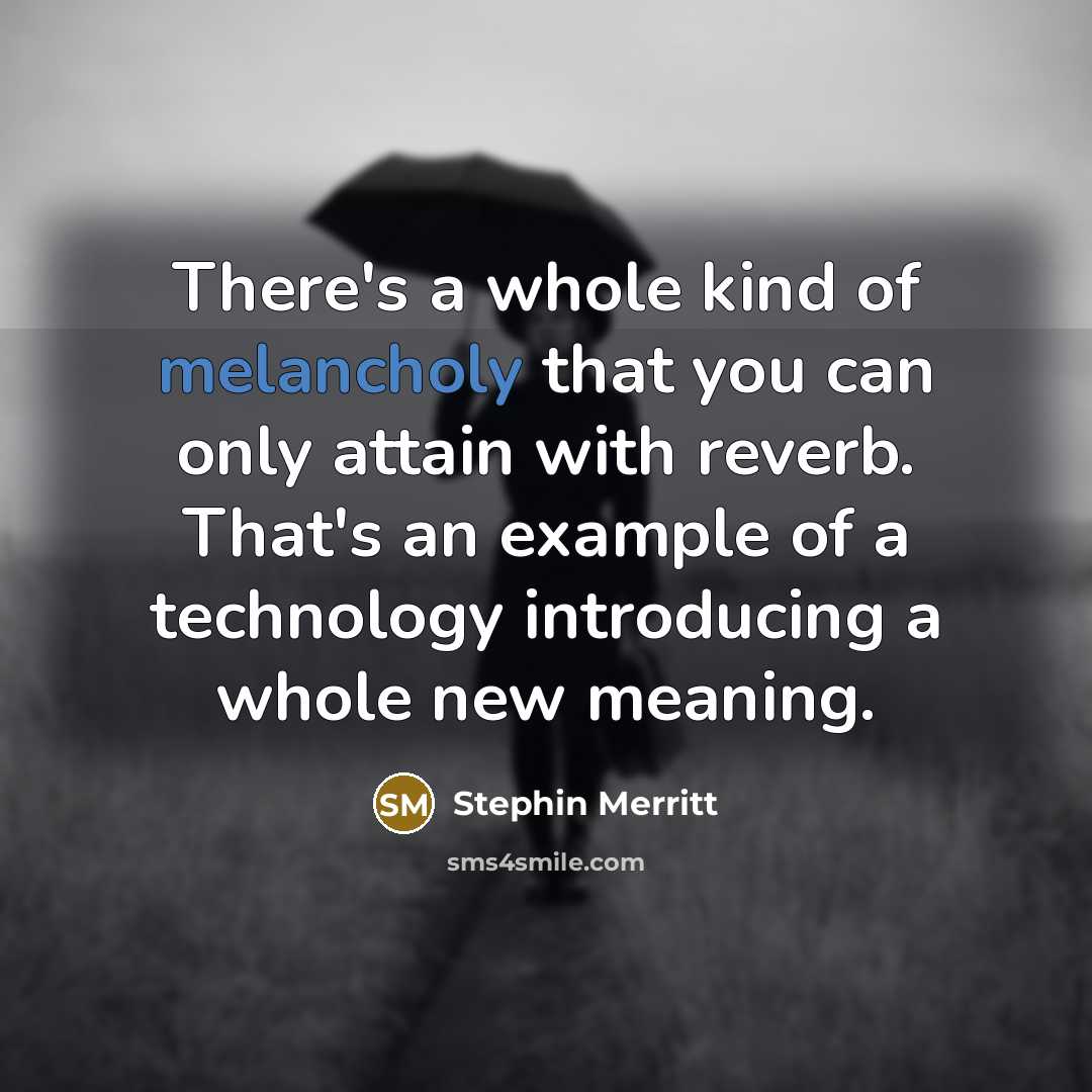 “There's a whole kind of melancholy that you can only…” quote by Stephin Merritt