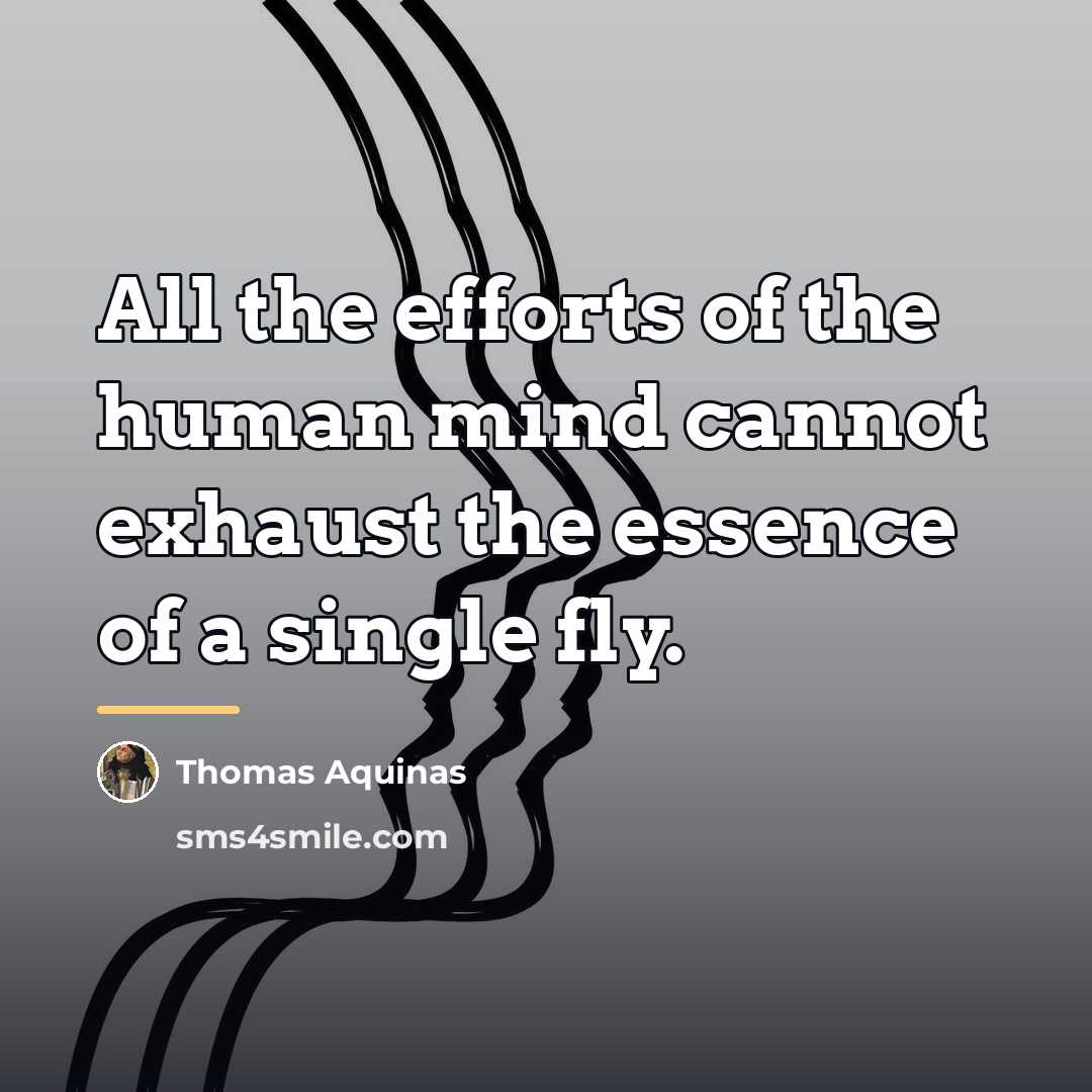 “All the efforts of the human mind cannot exhaust the…” quote by Thomas Aquinas
