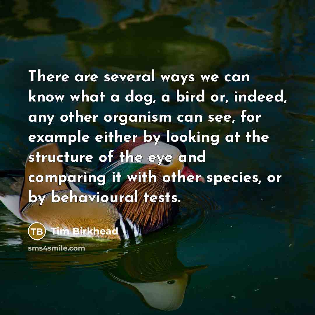 “There are several ways we can know what a dog, a bird or, indeed, any other organism can see, for example either by looking at the structure of the eye and comparing it with other species, or by behavioural tests.” quote by Tim Birkhead