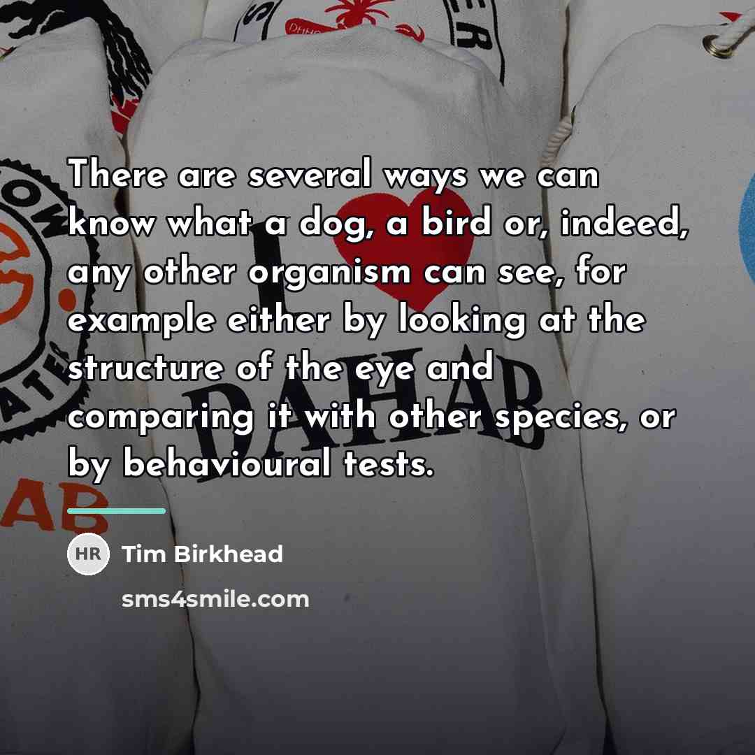“There are several ways we can know what a dog,…” quote by Tim Birkhead