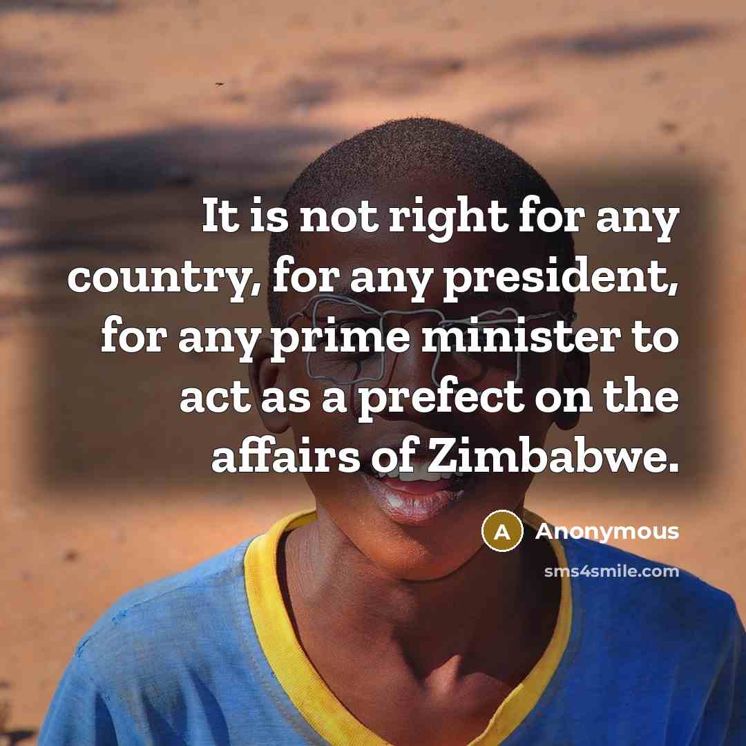 “It is not right for any country, for any president, for any prime minister to act as a prefect on the affairs of Zimbabwe.” quote by Anonymous