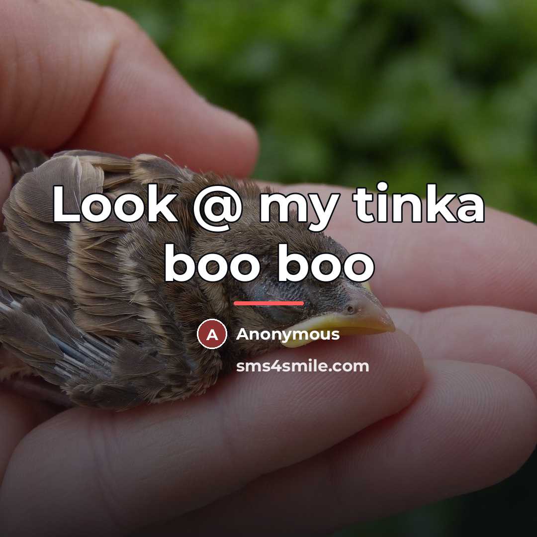 “Look @ my tinka boo boo…” quote by Anonymous