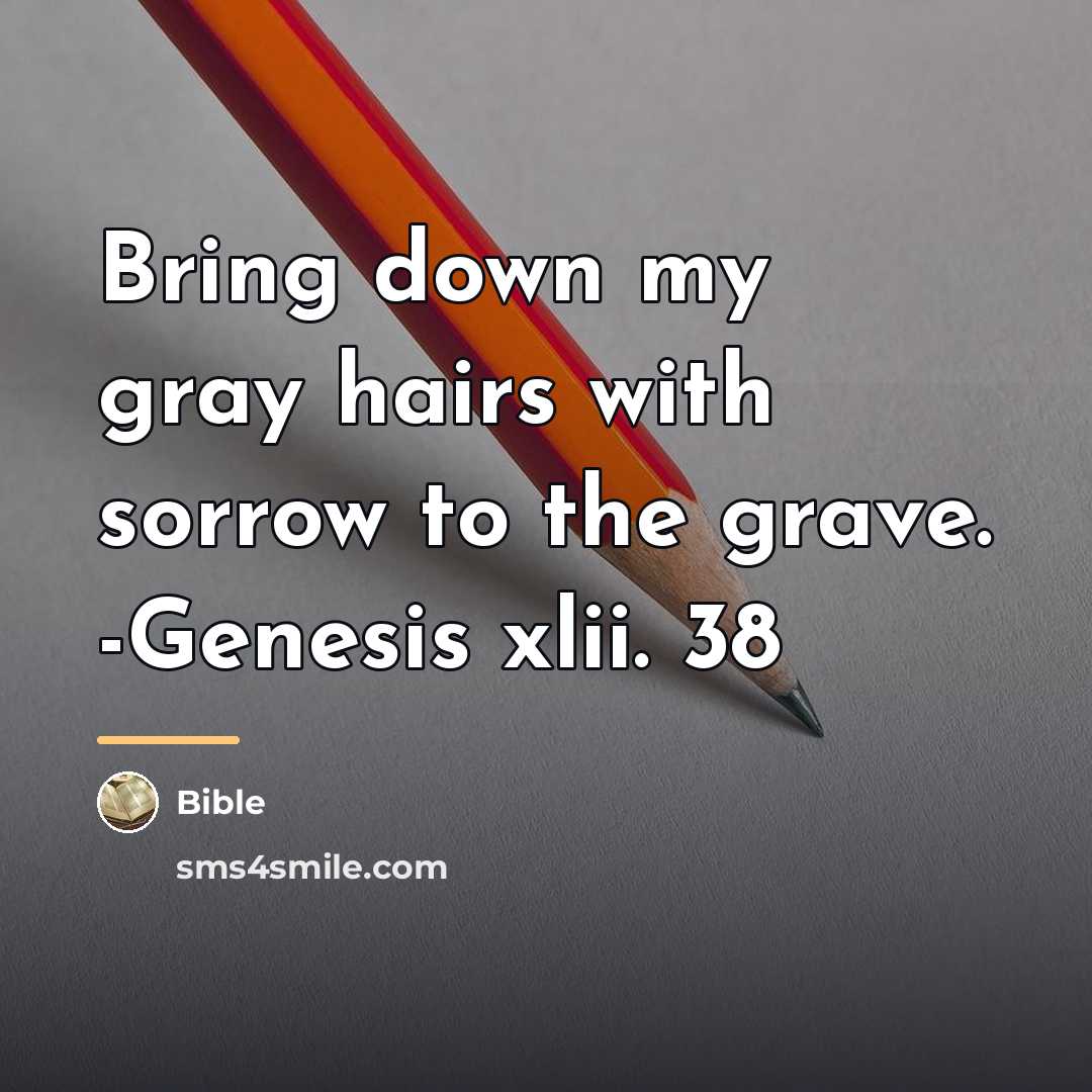 “Bring down my gray hairs with sorrow to the grave.…” quote by Bible