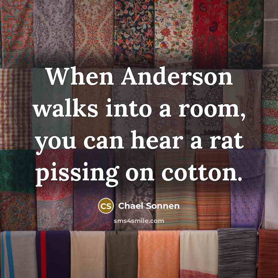“When Anderson walks into a room, you can hear a…” quote by Chael Sonnen
