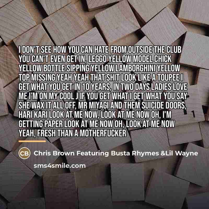 “I don't see how you can hate From outside the…” quote by Chris Brown Featuring Busta Rhymes &Lil Wayne