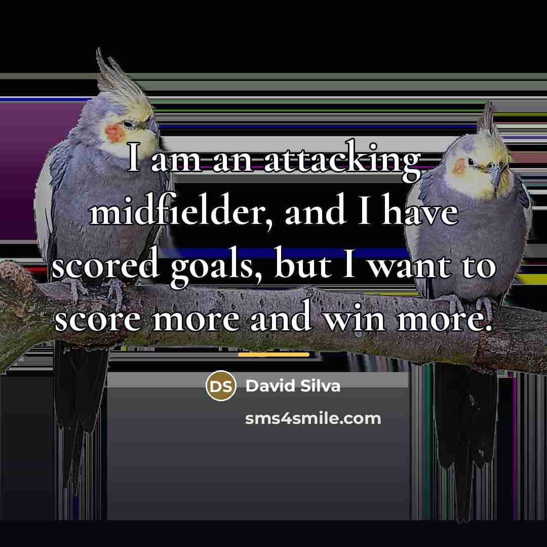 “I am an attacking midfielder, and I have scored goals,…” quote by David Silva