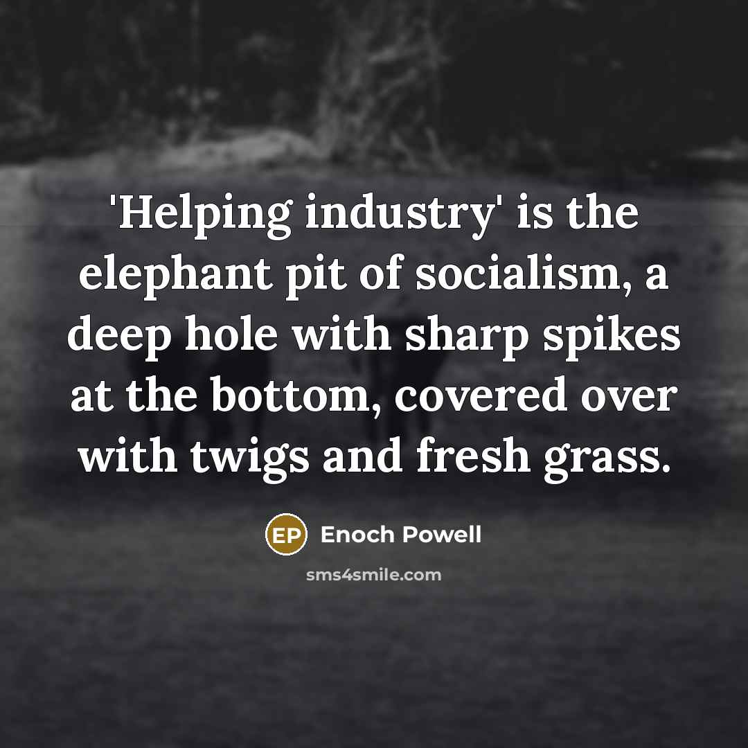 “'Helping industry' is the elephant pit of socialism, a deep…” quote by Enoch Powell