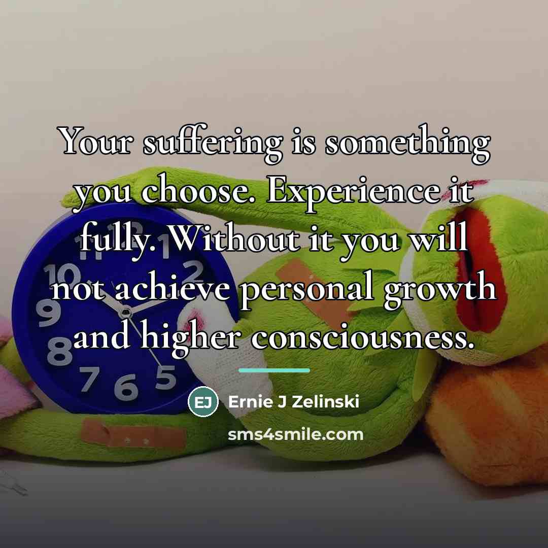 “Your suffering is something you choose. Experience it fully. Without…” quote by Ernie J Zelinski