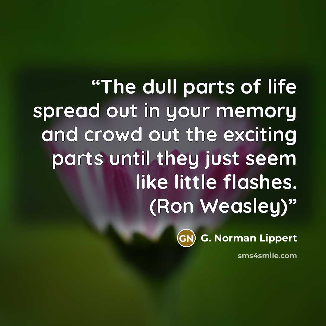 “The dull parts of life spread out in your memory and crowd out the exciting parts until they just seem like little flashes. (Ron Weasley)” quote by G. Norman Lippert