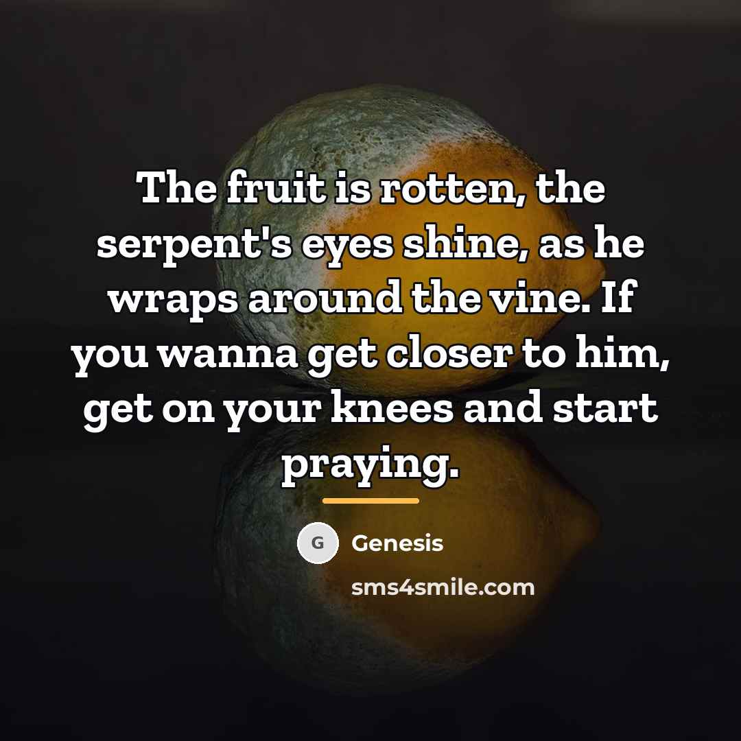 “The fruit is rotten, the serpent's eyes shine, as he…” quote by Genesis