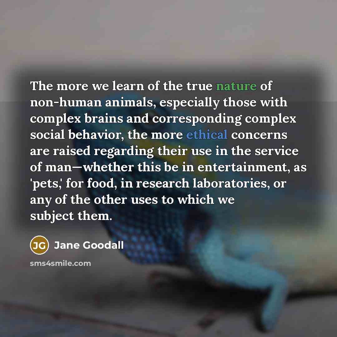 “The more we learn of the true nature of non-human…” quote by Jane Goodall