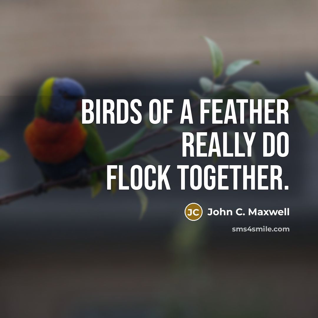 “Birds of a feather really do flock together.…” quote by John C. Maxwell