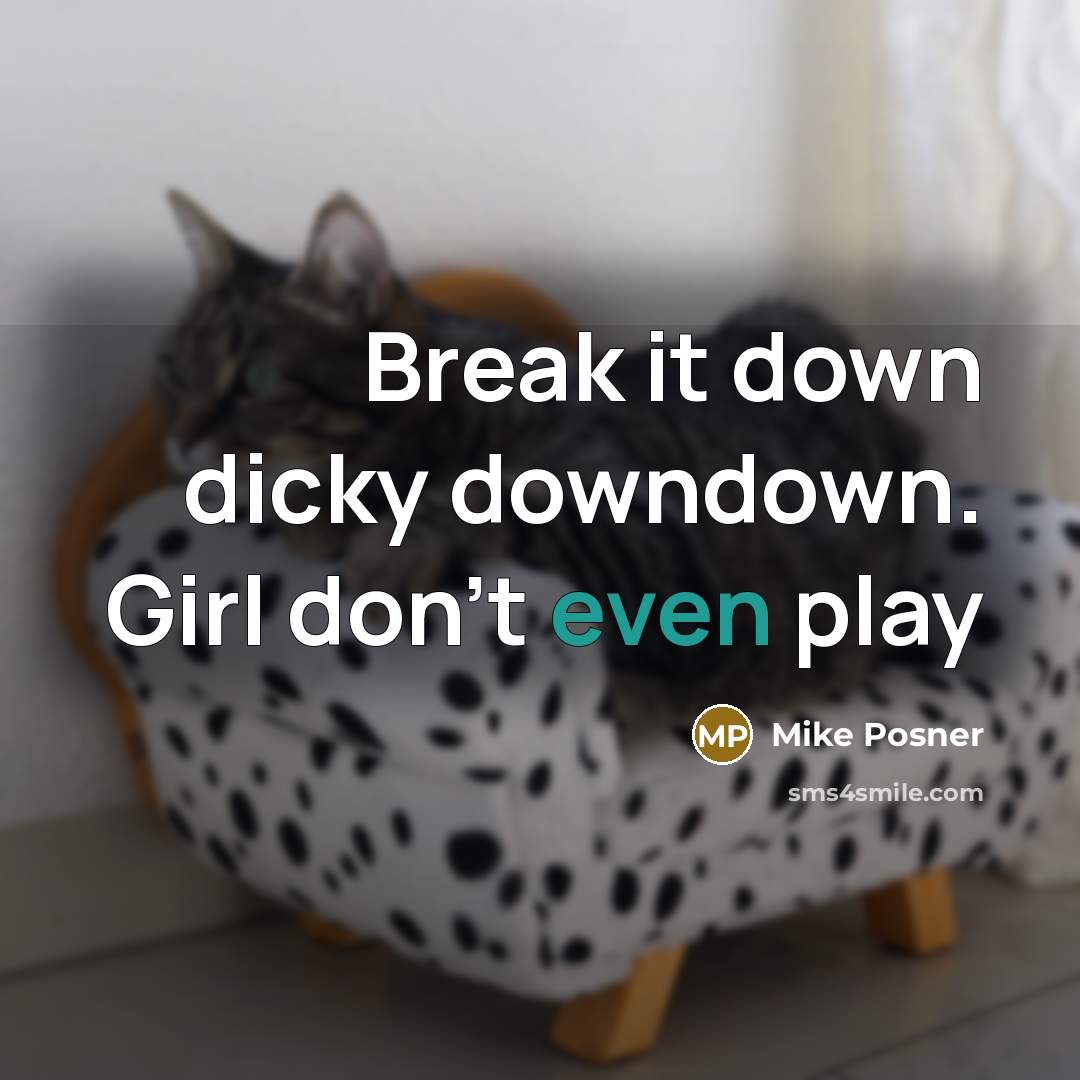 “Break it down dicky downdown. Girl don't even play” quote by Mike Posner