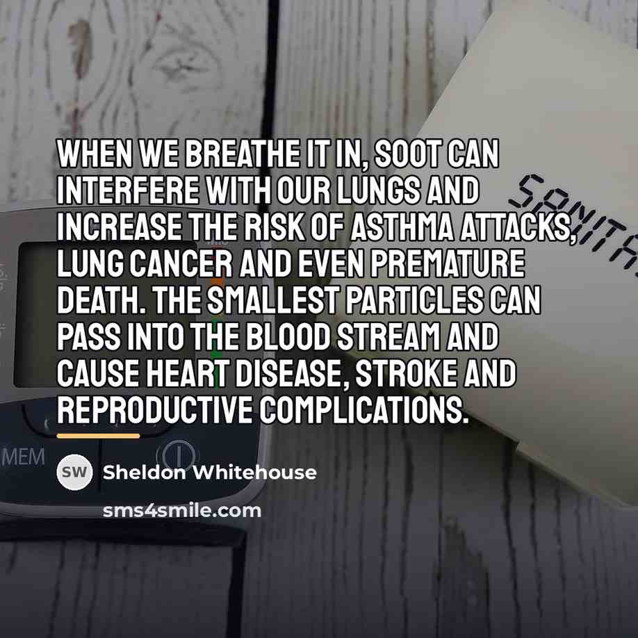 “When we breathe it in, soot can interfere with our…” quote by Sheldon Whitehouse