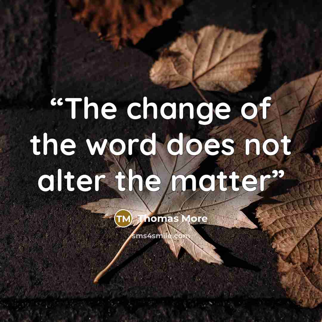 “The change of the word does not alter the matter” quote by Thomas More