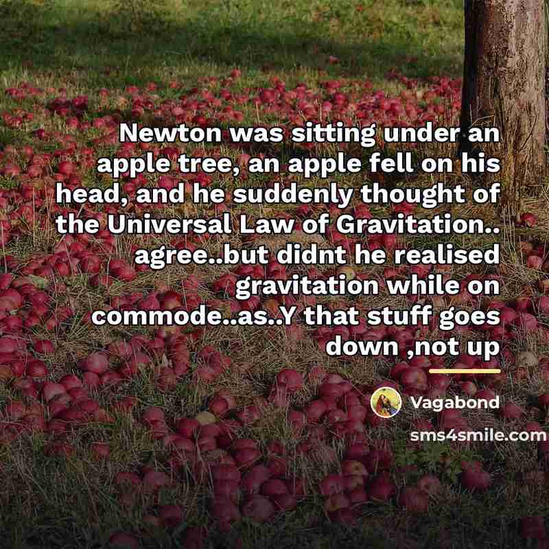 “Newton was sitting under an apple tree, an apple fell…” quote by Vagabond