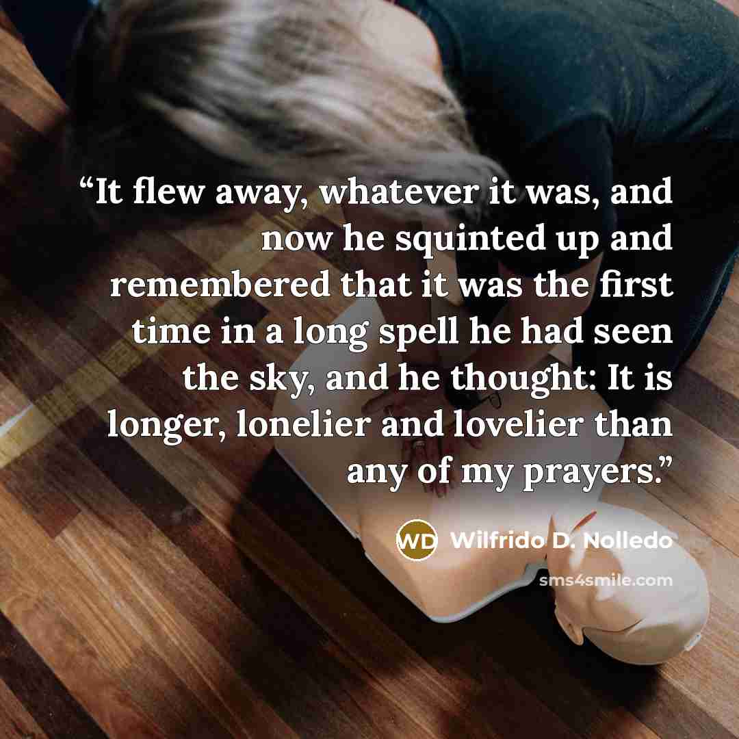 “It flew away, whatever it was, and now he squinted up and remembered that it was the first time in a long spell he had seen the sky, and he thought: It is longer, lonelier and lovelier than any of my prayers.” quote by Wilfrido D. Nolledo