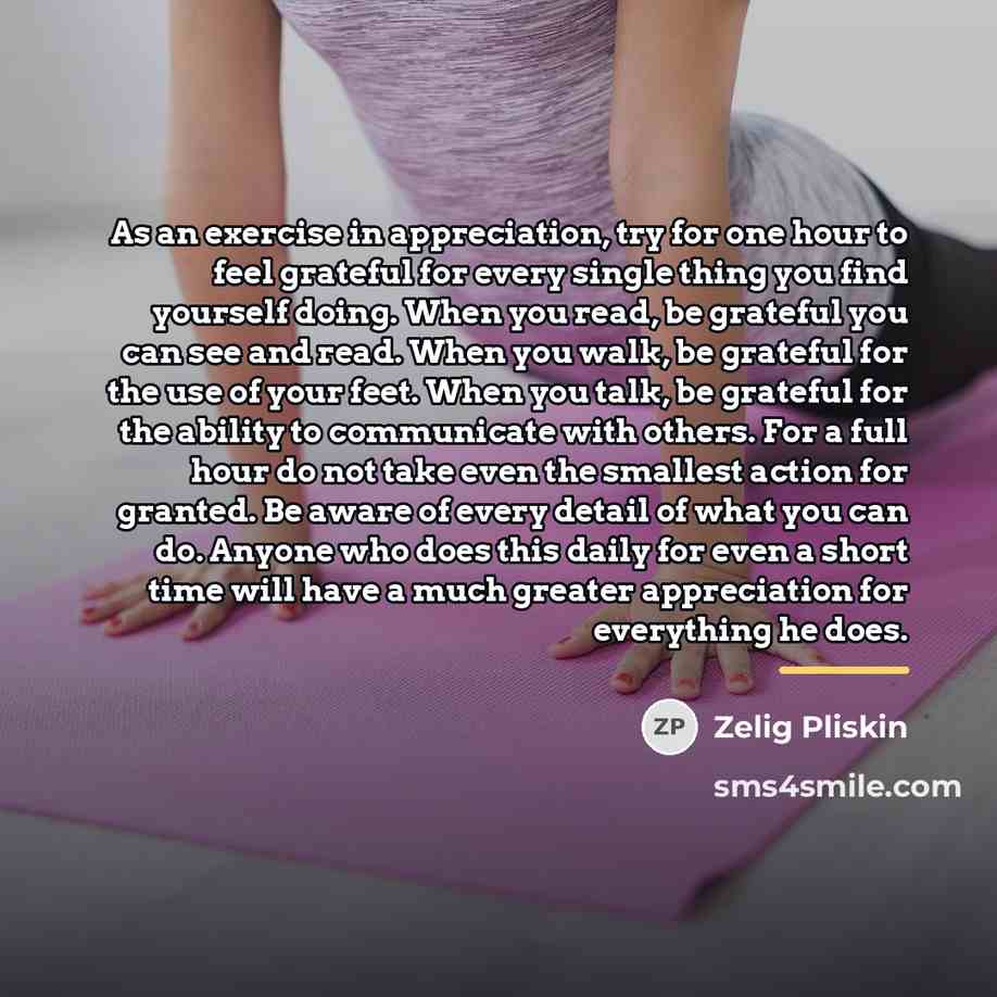 “As an exercise in appreciation, try for one hour to…” quote by Zelig Pliskin