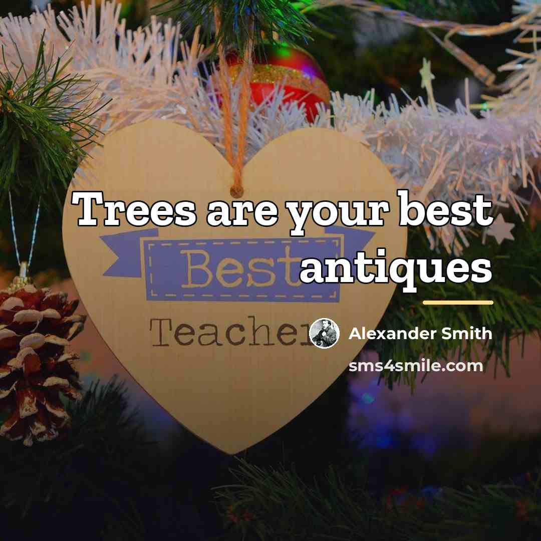 “Trees are your best antiques…” quote by Alexander Smith