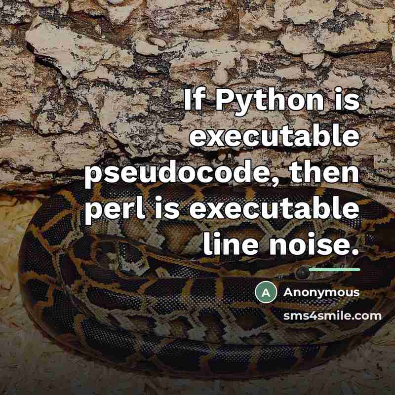 “If Python is executable pseudocode, then perl is executable line…” quote by Anonymous
