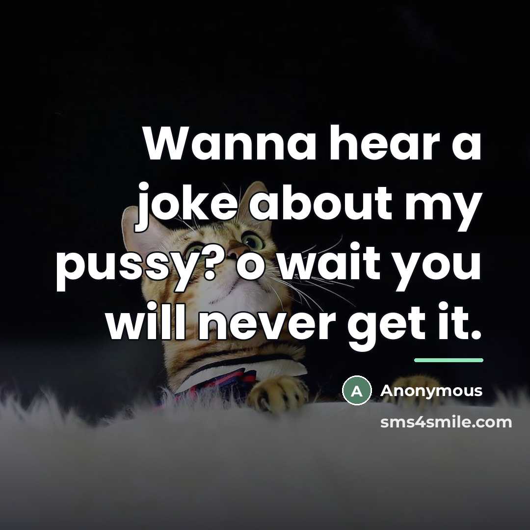 “Wanna hear a joke about my pussy? o wait you…” quote by Anonymous