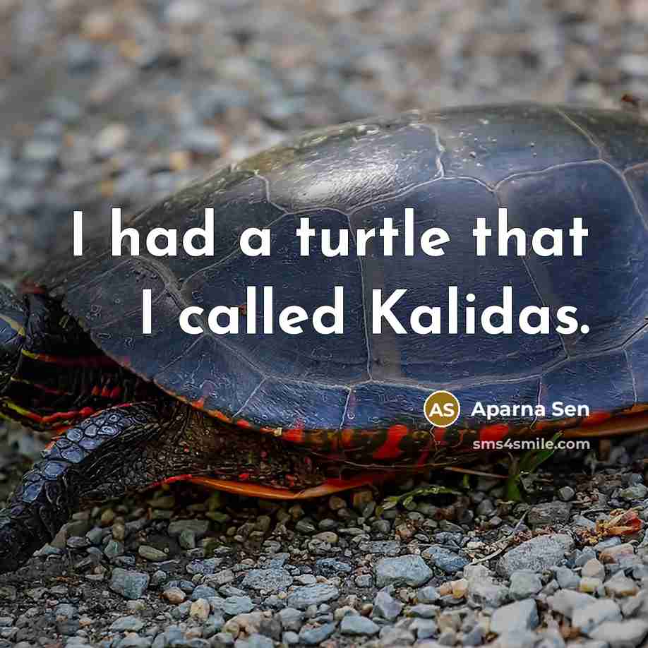 “I had a turtle that I called Kalidas.” quote by Aparna Sen