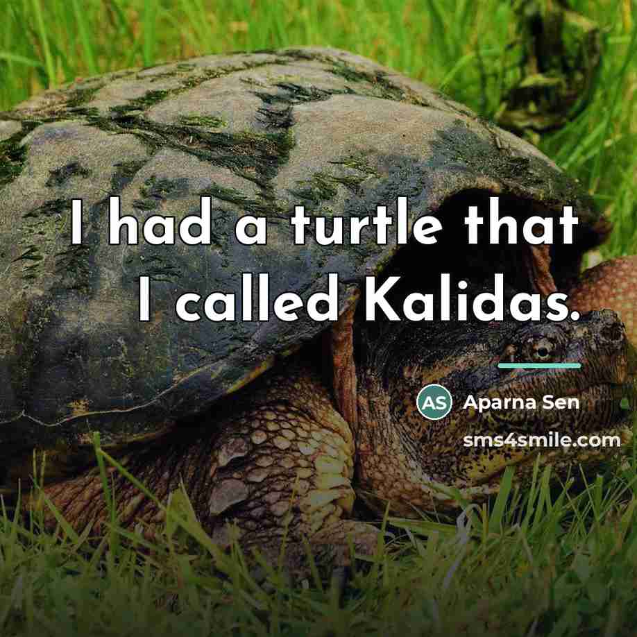 “I had a turtle that I called Kalidas.…” quote by Aparna Sen