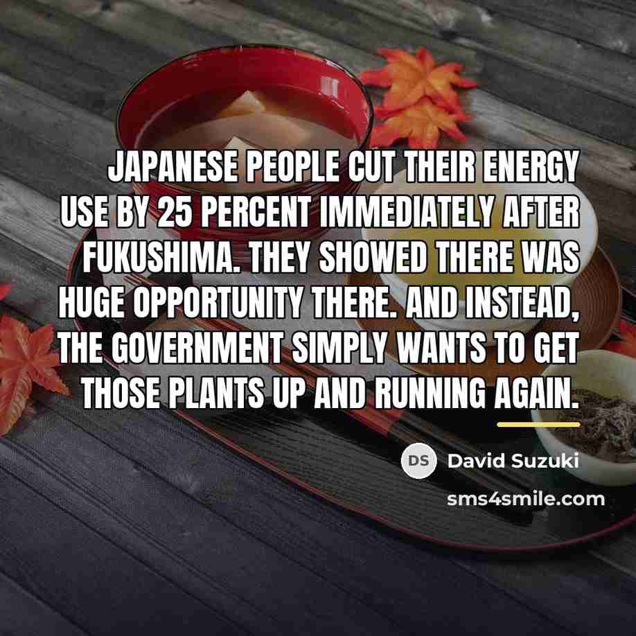 “Japanese people cut their energy use by 25 percent immediately…” quote by David Suzuki
