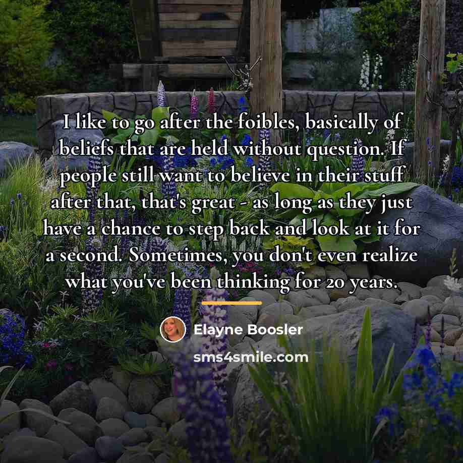 “I like to go after the foibles, basically of beliefs…” quote by Elayne Boosler