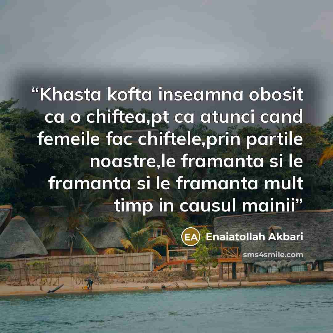 “Khasta kofta inseamna obosit ca o chiftea,pt ca atunci cand femeile fac chiftele,prin partile noastre,le framanta si le framanta si le framanta mult timp in causul mainii” quote by Enaiatollah Akbari