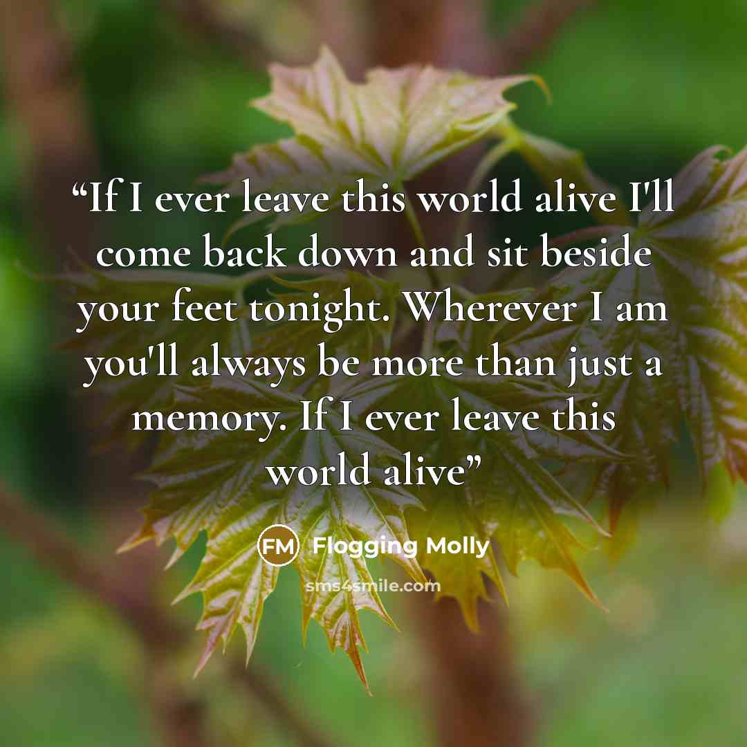 “If I ever leave this world alive I'll come back down and sit beside your feet tonight. Wherever I am you'll always be more than just a memory. If I ever leave this world alive” quote by Flogging Molly