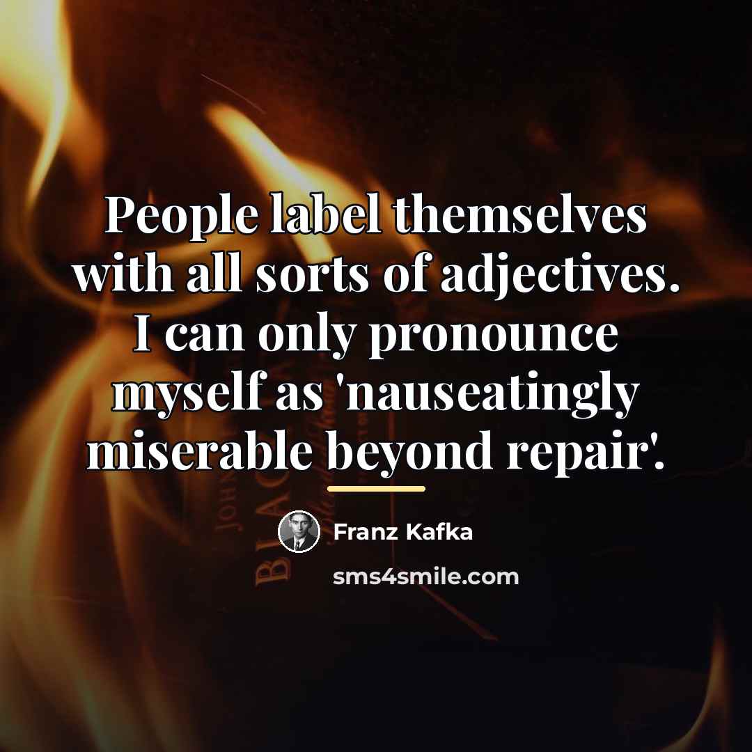“People label themselves with all sorts of adjectives. I can…” quote by Franz Kafka